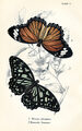 Image Not Available